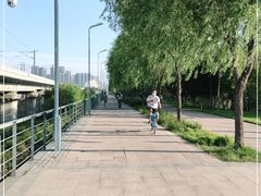 -滨州铁路桥