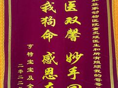 -谐和益家动物医院·免疫绝育·血液透析·宠保定点医院(高新伊藤分院)