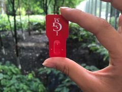 -伊莎贝拉嘉纳艺术博物馆