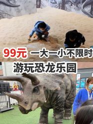 -恐龙探索乐园(磁器口店)