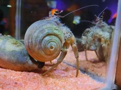 -海合安天津极地海洋公园