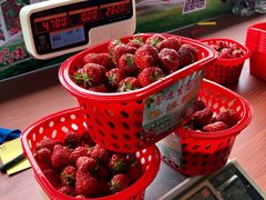 -普迪生态园