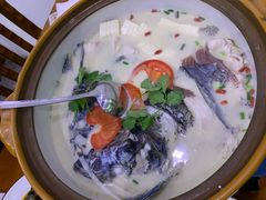 -全乐鱼馆·淳牌有机鱼直营店