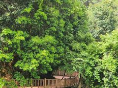 -大余丫山旅游度假区