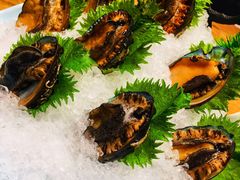 小鲍鱼-尚海豆捞(乐虹坊店)