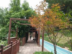 -重庆彩云湖湿地公园