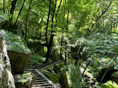 -龙峪湾国家森林公园
