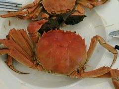 -东方红海鲜百汇(国际大厦店)