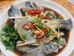 -煲来饱去冷水鱼