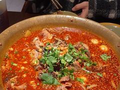 -张翻越·川渝冒菜·武汉黑鸭煲(城北万象城店)