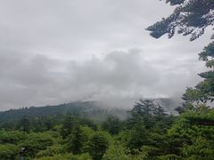 -峨眉山风景名胜区