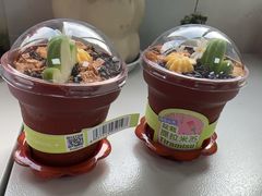 -元祖食品GANSO(常州新北区店)