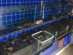水产区-老天桥蛙炉火锅(姑苏总店)