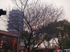 -皇罗禅寺
