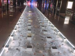 -青岛贝壳博物馆