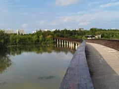 -昆山城市生态森林公园