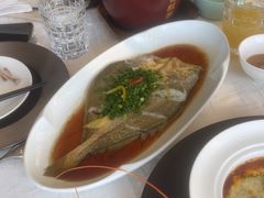 -上海新锦江大酒店