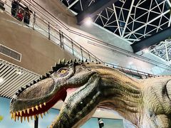 -湖南省地质博物馆