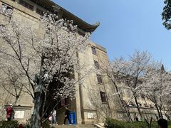 -武汉大学-樱园