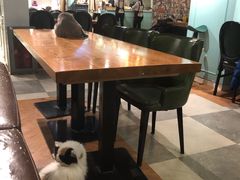 -猫小院猫主题餐厅(三里屯店)