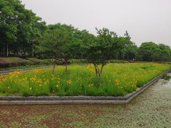 -蠡湖大桥公园