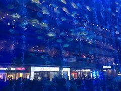 -成都浩海立方海洋公园