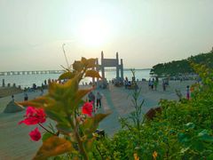 -宝安西湾红树林湿地公园