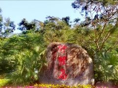-野狸岛