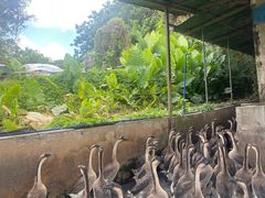 -红旗山庄(圭峰山店)