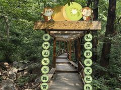 -大岭沟猕猴桃谷风景区