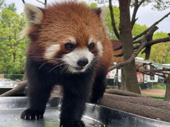 -常州淹城野生动物世界