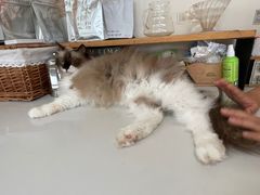 -灯塔咖啡馆BOOK·Coffee Shop