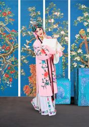 -梨园天地京剧摄影(玲珑天地店)