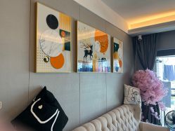 -哈颜科技轻美·