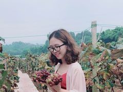 -枫香湖儿童公园