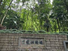 -瑶琳仙境