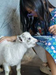 点击看大图 -Zoolung Zoolung动物主题公园(海信广场店)