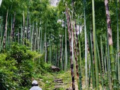 -安吉龙王山风景区