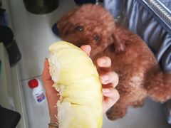 -沃尔玛超市(北大街店)