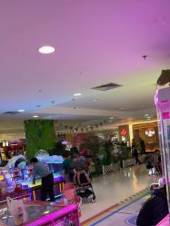 -Fang Fang Monkey·方方猴(国瑞购物中心店)