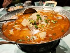 跃玳奶汤锅子鱼-唐猫庭院·千年陕菜(赛格国际购物中心店)