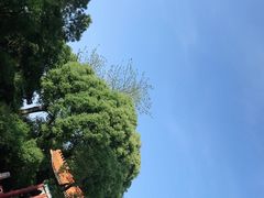 -珠海圆明新园
