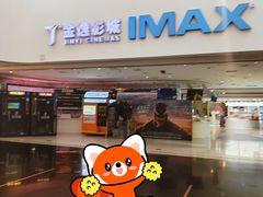 -金逸影城(大悦城IMAX激光店)