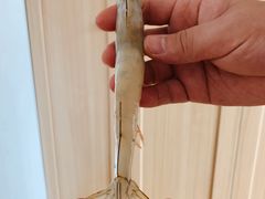 不知名大个头野生虾-韩家墅海吉星农产品批发市场