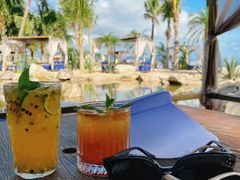 -精酿农场Brew Farm·沙漠绿洲餐厅