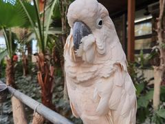 -南宫五洲植物乐园