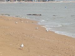 -兴城海滨风景区