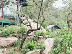 -北京水岸山吧度假村(雁栖镇店)