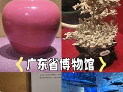 -广东省博物馆