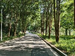 -东莞植物园